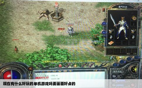 现在有什么好玩的单机游戏吗要画面好点的