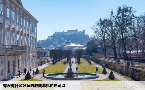 有没有什么好玩的游戏单机的也可以