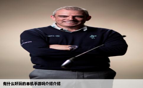 有什么好玩的单机手游吗介绍介绍