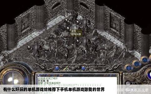 有什么好玩的单机游戏给推荐下手机单机游戏除我的世界