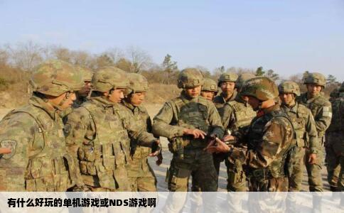 有什么好玩的单机游戏或NDS游戏啊