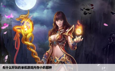 有什么好玩的单机游戏内存小的那种