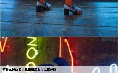 有什么好玩的手机单机游戏可以推荐吗