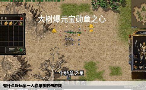 有什么好玩第一人称单机射击游戏