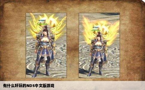 有什么好玩的NDS中文版游戏