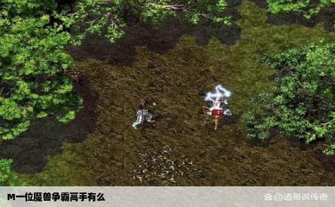 M一位魔兽争霸高手有么