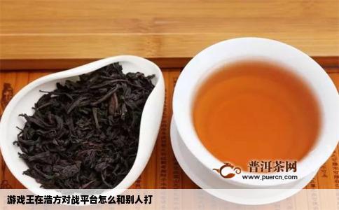 游戏王在浩方对战平台怎么和别人打