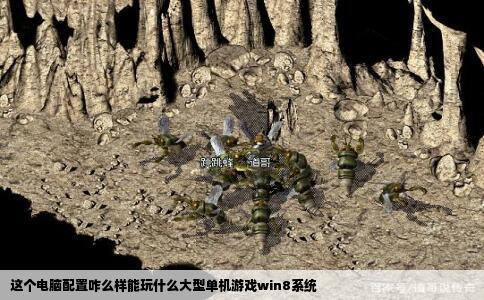 这个电脑配置咋么样能玩什么大型单机游戏win8系统