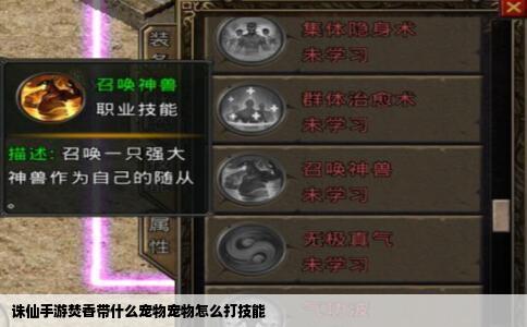 诛仙手游焚香带什么宠物宠物怎么打技能