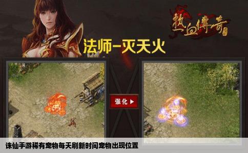 诛仙手游稀有宠物每天刷新时间宠物出现位置