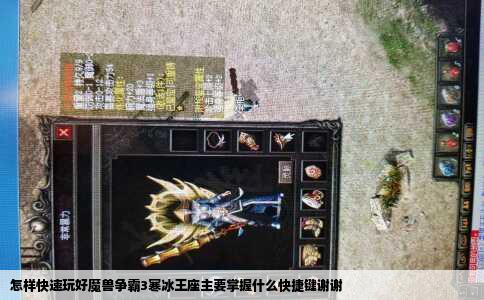 怎样快速玩好魔兽争霸3寒冰王座主要掌握什么快捷键谢谢
